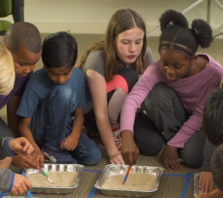 Kids engaged in a science activity